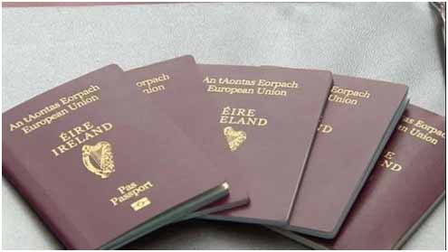 Citizenship by Naturalisation | Zatino Group | Financial, Technological,  Networking Solutions Ireland